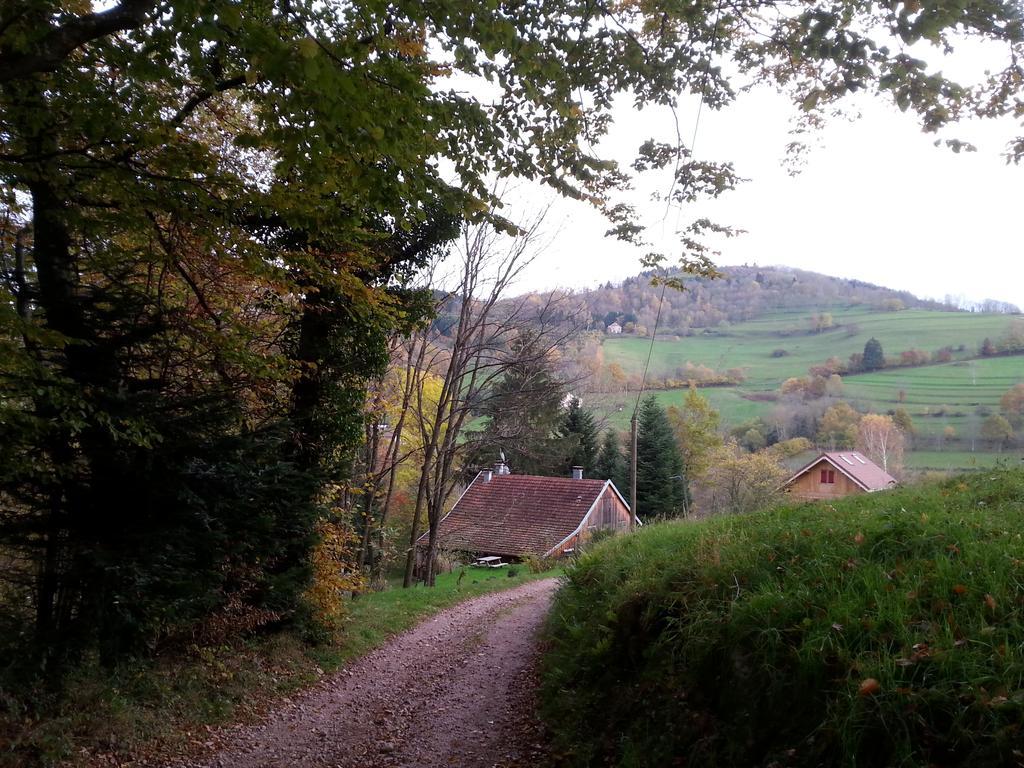 Giteovosges Villa La Croix-aux-Mines Exterior photo