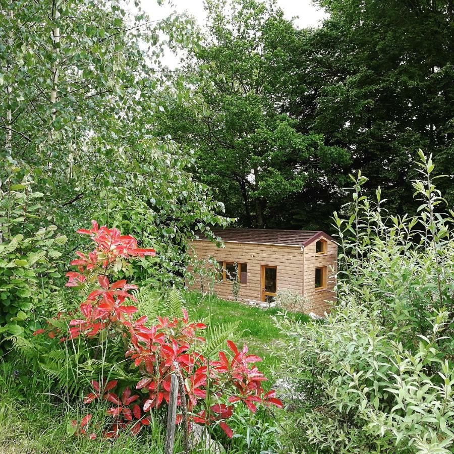 Giteovosges Villa La Croix-aux-Mines Exterior photo